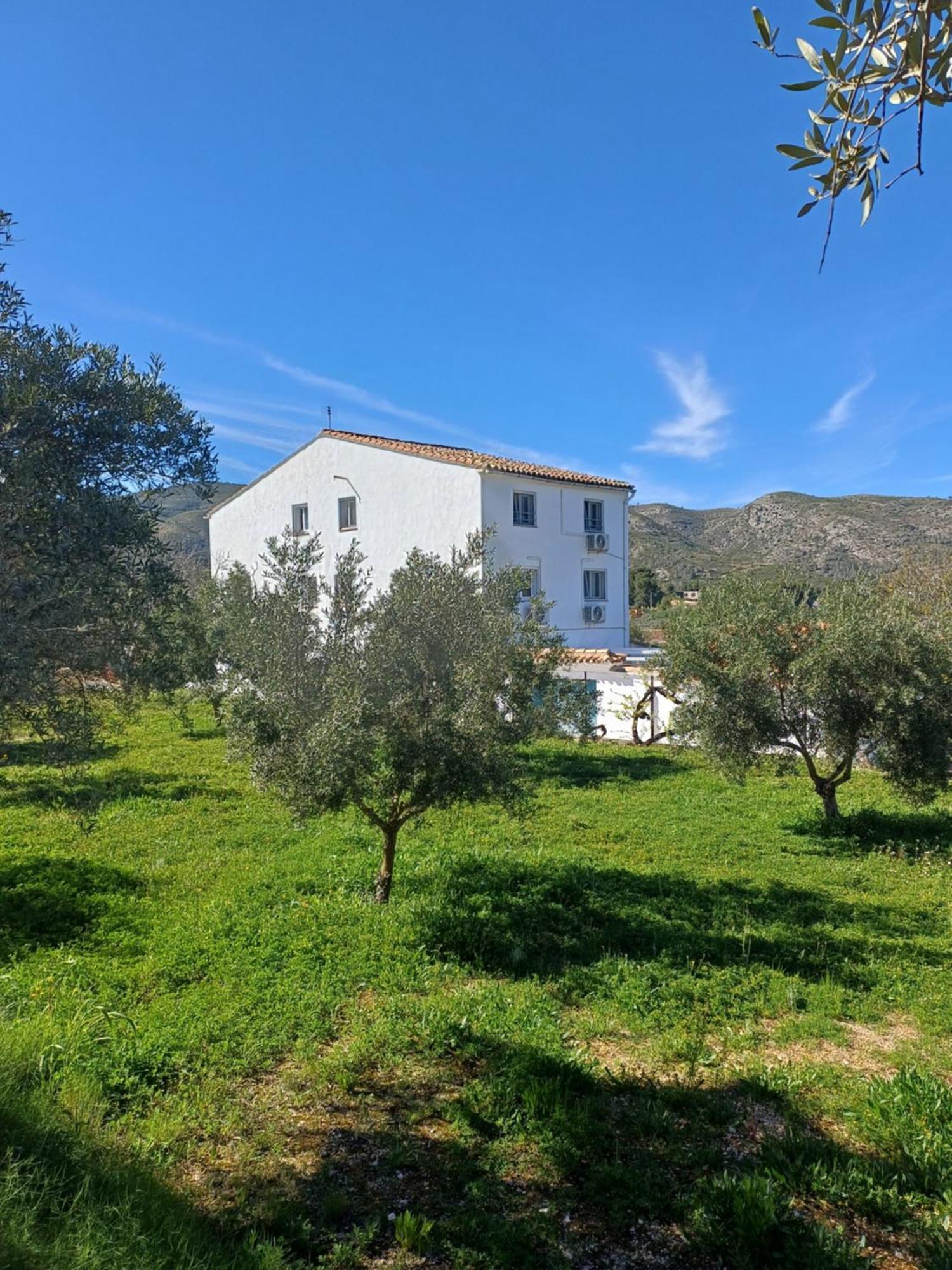 B&B Casa Vitalidad Ontinyent Exterior foto